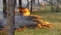 С середины апреля на территории Берёзовского будет введен особый противопожарный режим