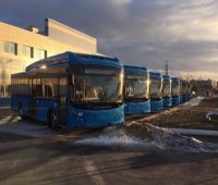 В Кузбасс завезут партию новых автобусов